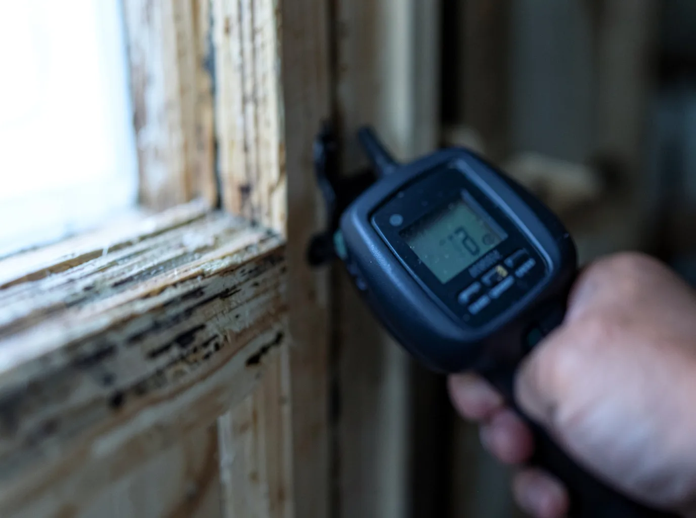 Ceiling Water Damage Repair in Palomar Mountain, CA